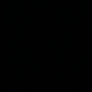 Meet your Posher, Mia